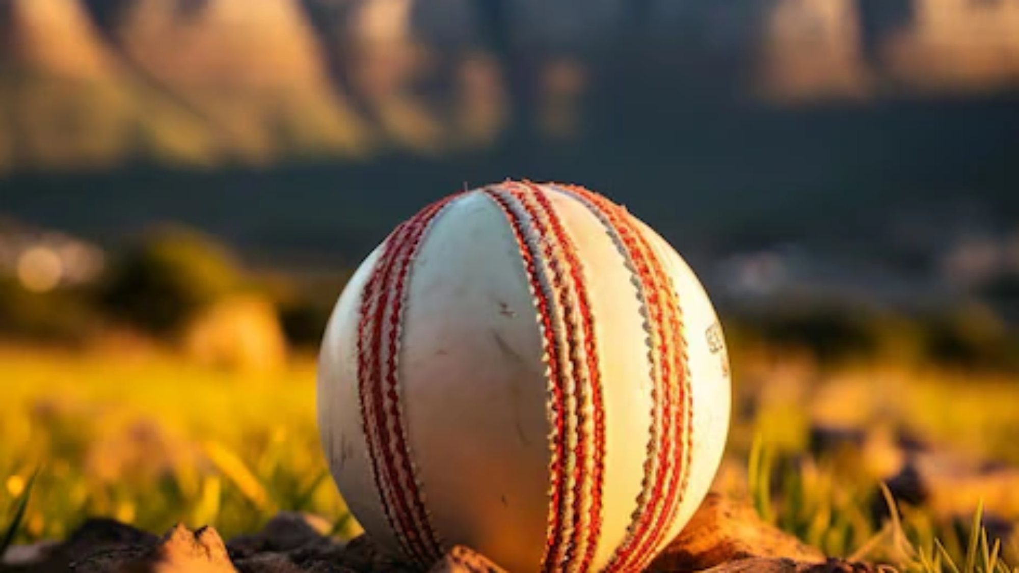 cricket-ball-green-background-hd-8k-wallpaper-stock-photographic-image_949228-18077